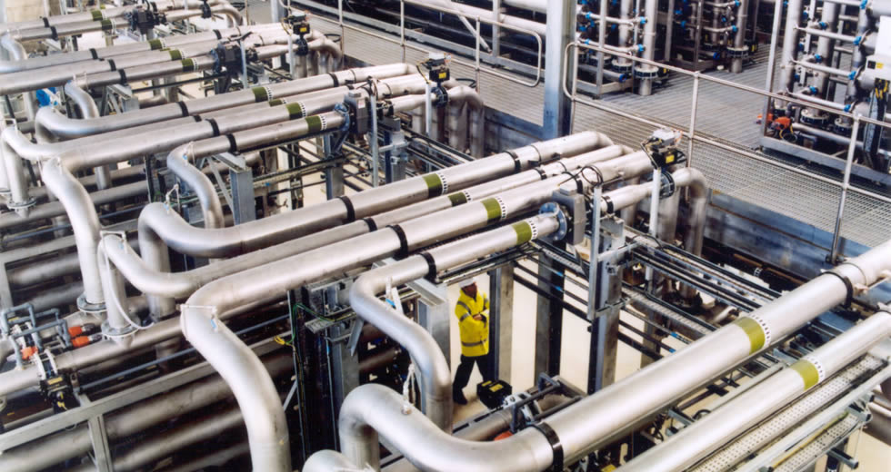 Membrane Elements at plant